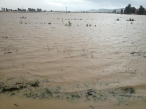 alluvione