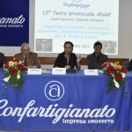 Festa Anap 2