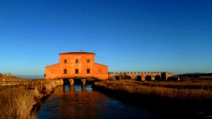 Diaccia Botrona