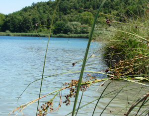 Lago dell'Accesa