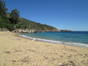 cala caldane giglio