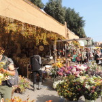 DSCN0300