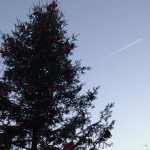 albero di Natale Castiglione