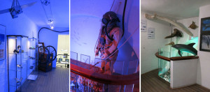 nuove mostre acquario Argentario