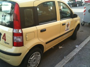 Panda Coeso