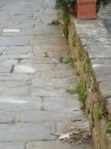 decoro condipodaro