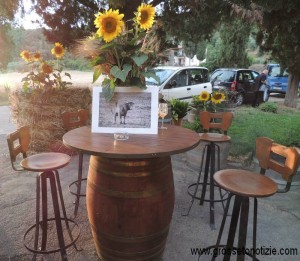 La rossa in tavola 2