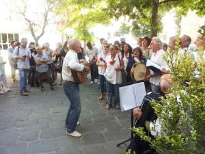 I rosolacci