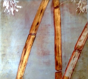 bambu R. Degasperis
