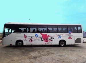 Bus Grosseto-Fiumicino