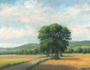 quercia_dinopetri
