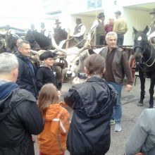 Fieracavalli2014_14