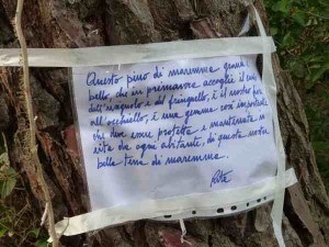 Giornata nazionale albero 2