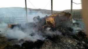 incendio Monauto 2