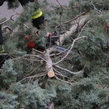 interventi vigili del fuoco vento