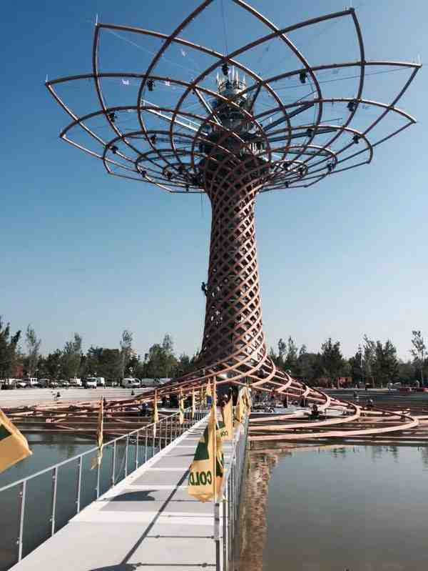 Albero della Vita