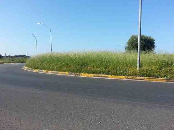 rotatorie Follonica