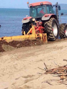Pulizia spiaggia 2