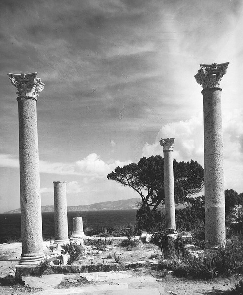 ritratti di Maremma 4