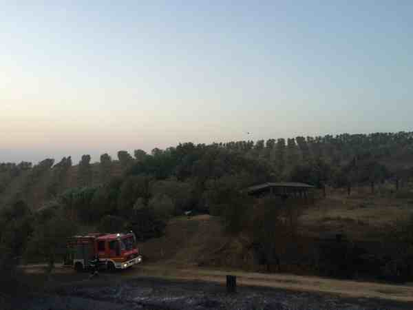 Incendio Poggio Cavallo 2