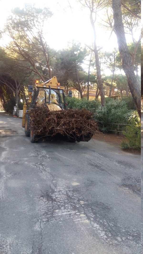 Lavori Principina 2