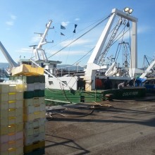 Lavori ad un porto