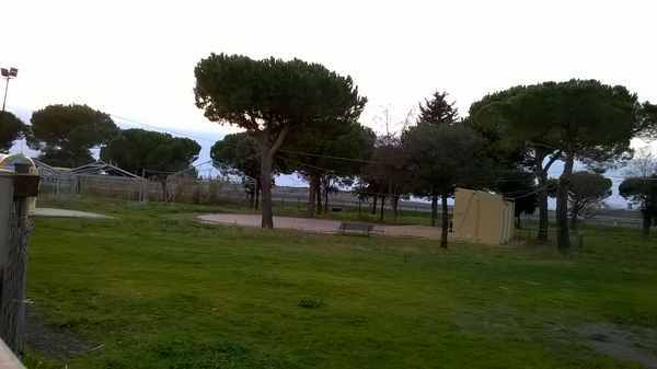 Giardino Albinia 2