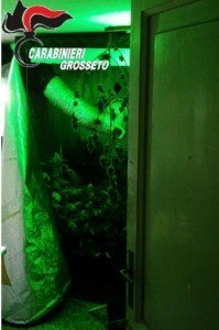 marijuana Orbetello