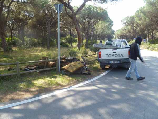 Pulizia pineta Marina 4