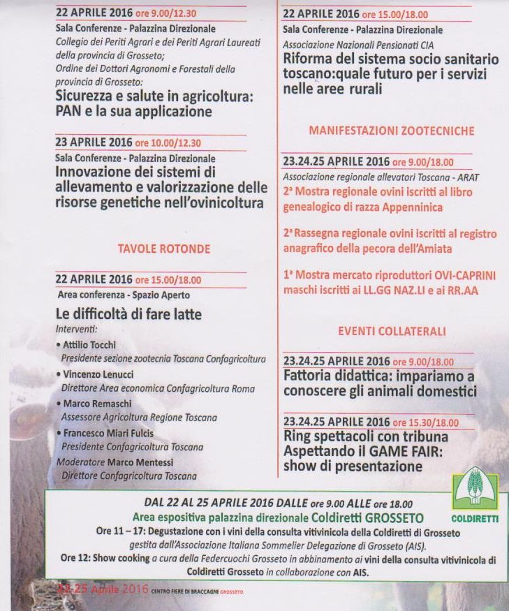 Programma Madonnino 2016 001