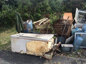 giornata ecologica Paganico 2