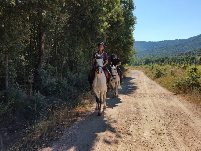 carabinieri a cavallo Scarlino