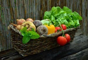 eccommerce-agroalimentare-maremma