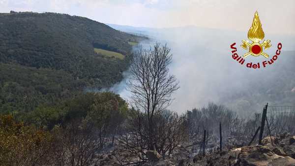 Incendio Cinigiano 3