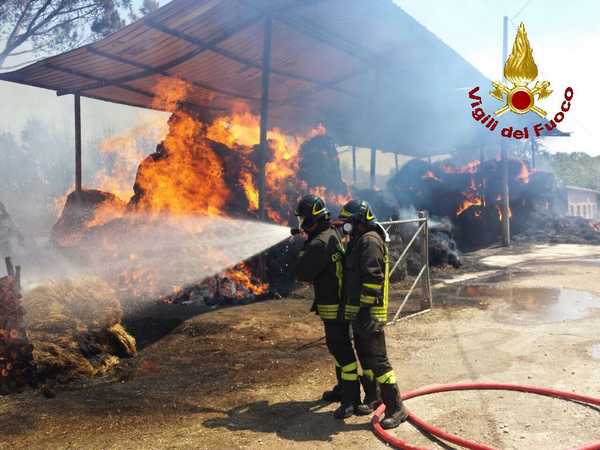 Incendio Braccagni 4
