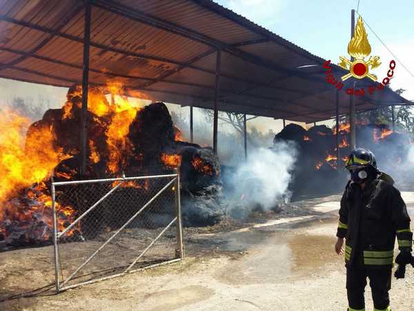 Incendio Braccagni 5