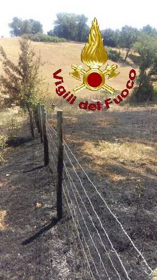 Incendio Manciano 11