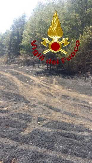 Incendio Manciano 12