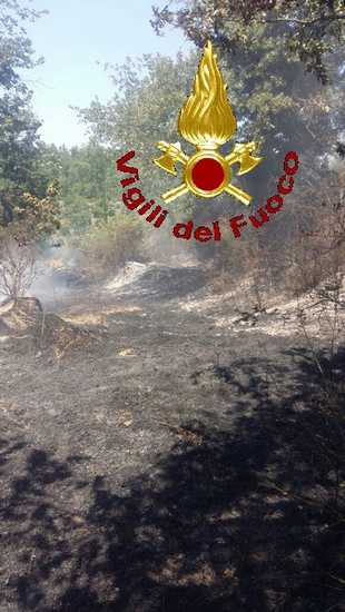 Incendio Manciano 15