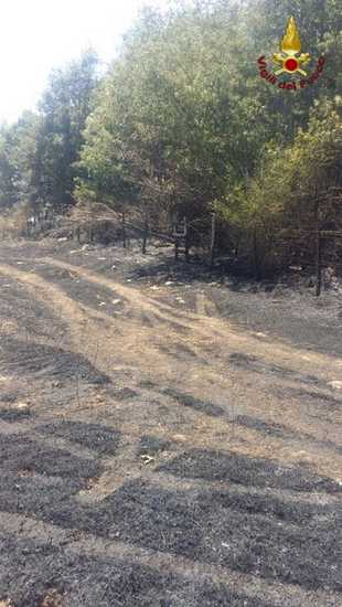 Incendio Manciano 2