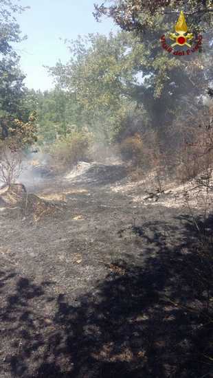 Incendio Manciano 5