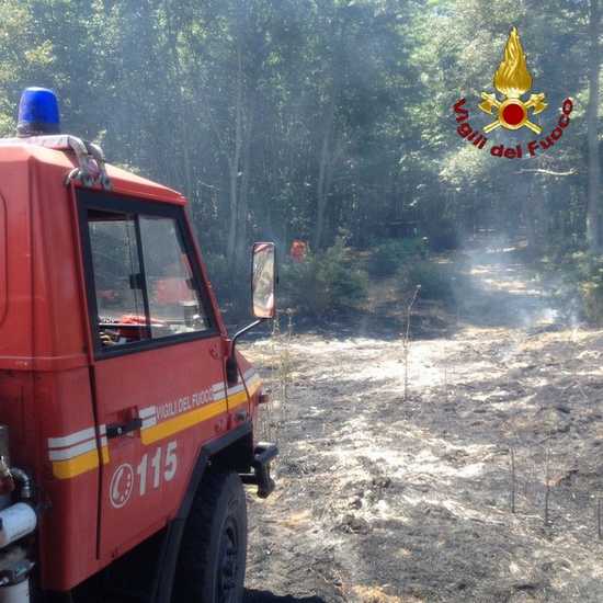 Incendio Manciano 7