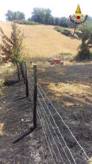 Incendio Manciano