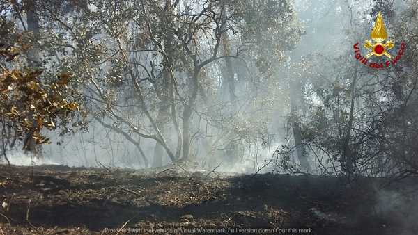 Incendio Follonica 2