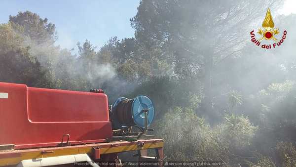 Incendio Follonica 3