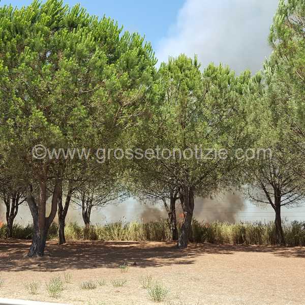 Incendio Grosseto diversivo 7