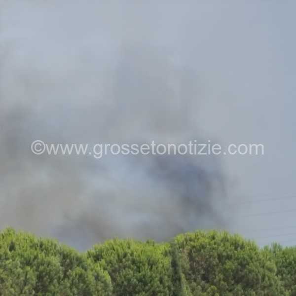 Incendio diversivo Grosseto 3
