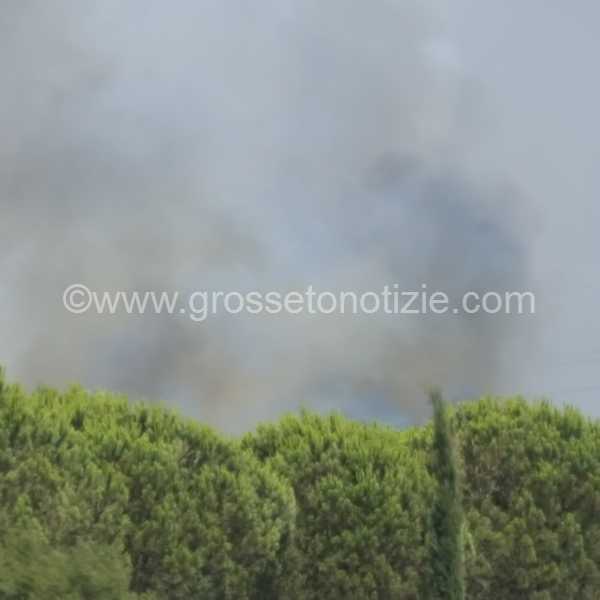 Incendio diversivo Grosseto 4