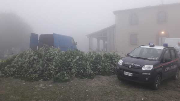 Arresto droga Roccalbegna 2