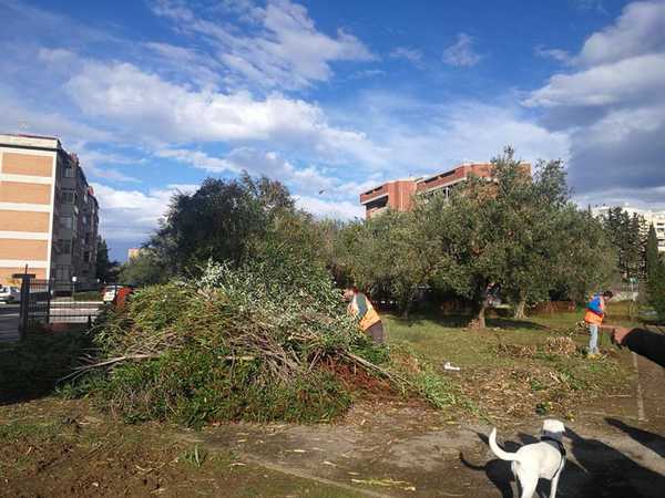 campo atletica Follonica 3